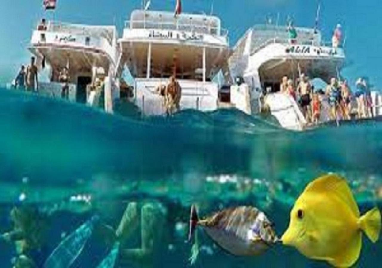 Joynant-Gouna Kite Road-2Room Mangroovy Free Beach Access - Pool View- Хургада Экстерьер фото